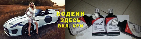 дмт Нягань