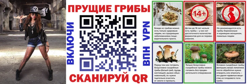 закладки Каргат Галлюциногенные грибы Psilocybe